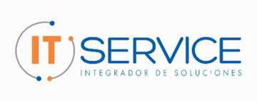IT Service